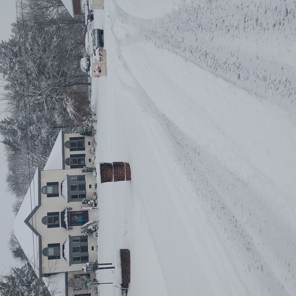 Tennessee Snow ❄️ 1/6/2022 - Picture 4 of 7